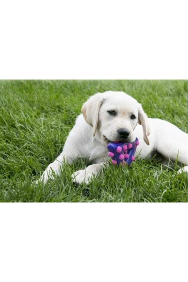 Dotz Triangle Triangular Dog Toy Tr-Large - 3