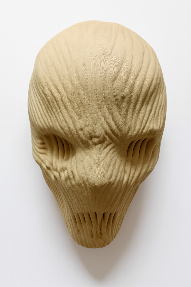 Masca printata 3D - 1