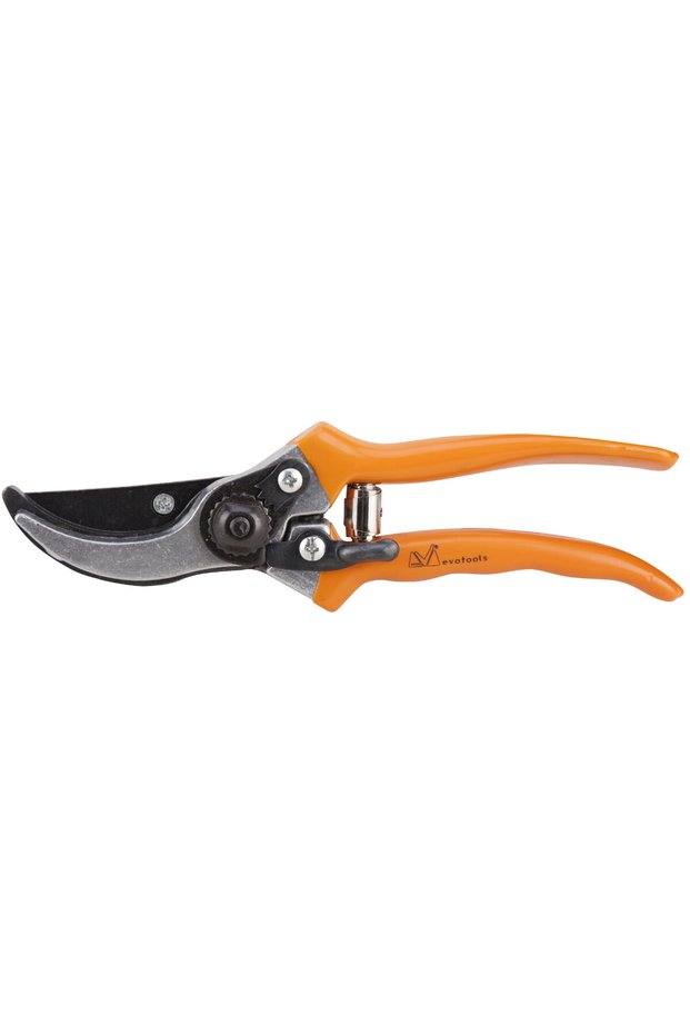 Vine Shears - Scissors length 200 mm