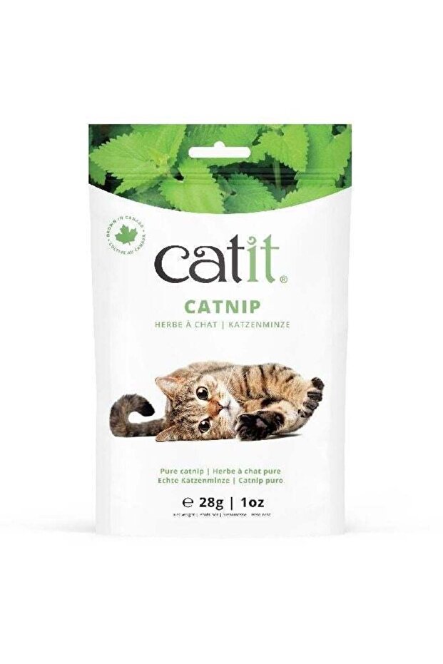 DRIED CATNIP 28g