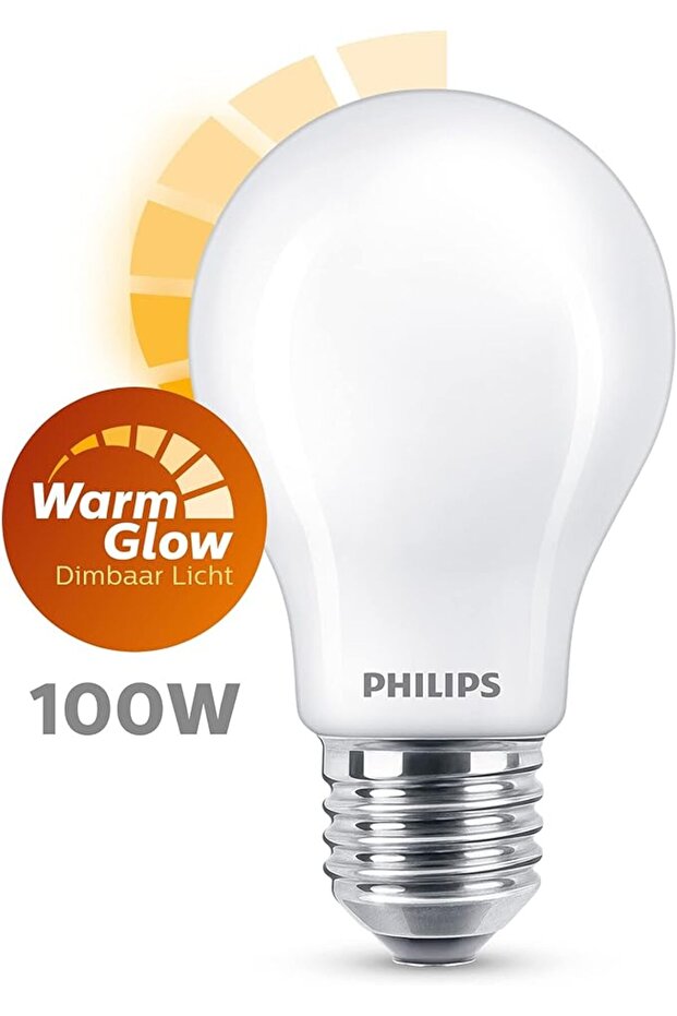 LED classic 100W A60 E27 FR WGD90 SRT4 - 3
