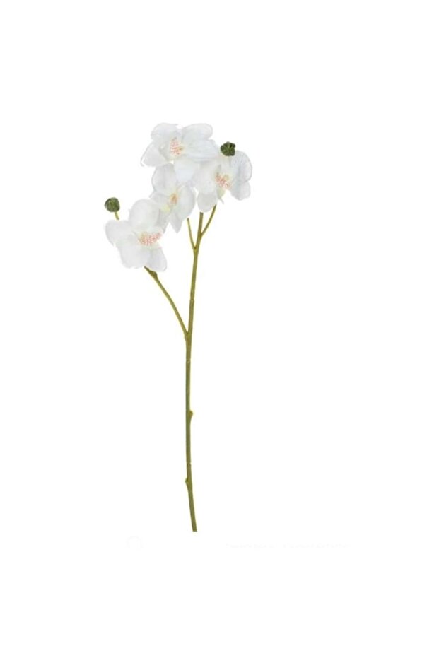 Orhidee artificială alb crem 35 cm - 2