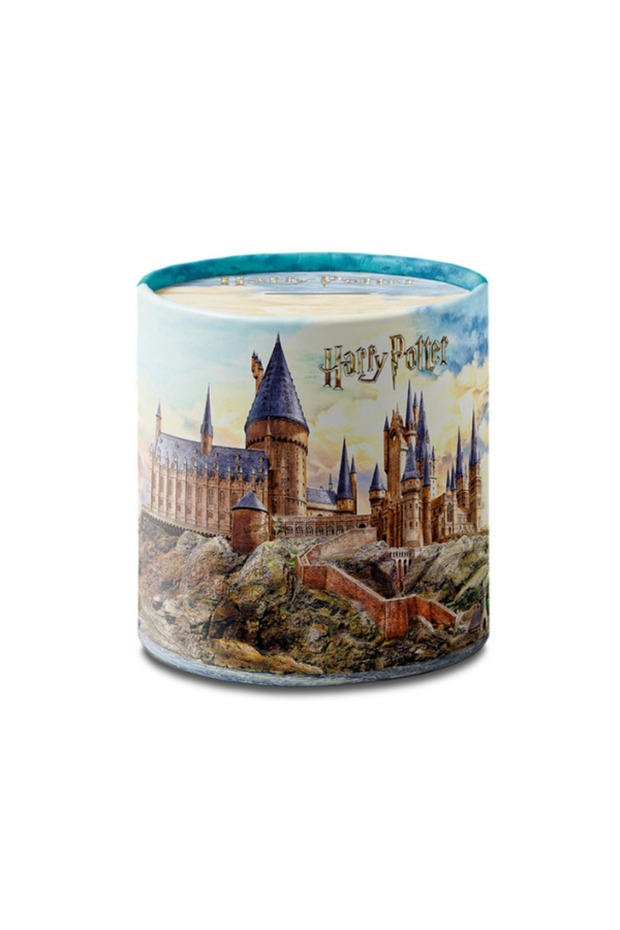 Harry Potter Licensed Metal Piggy Bank