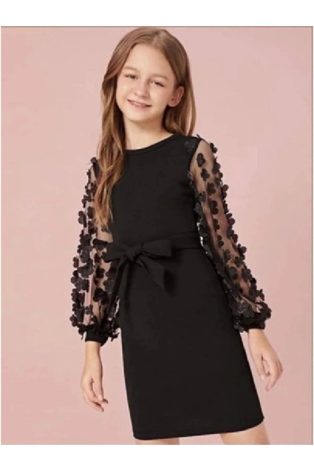 Butterfly Tulle Sleeves Girls Dress for Special Occasions