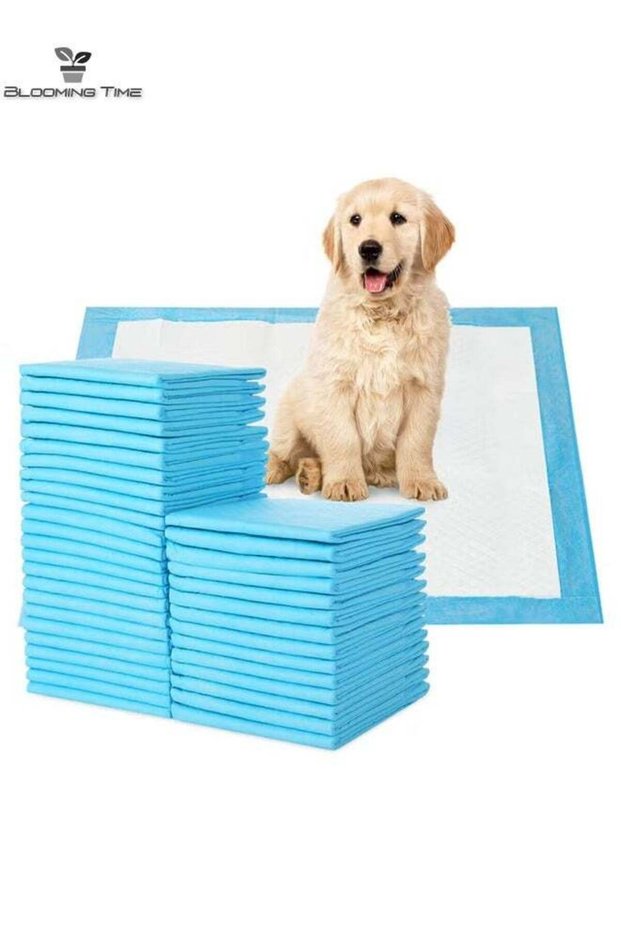 1 Set Of 40 Piece Portable Disposable Pet Dog Urine Pad, Easy To Train Dogs To Pee