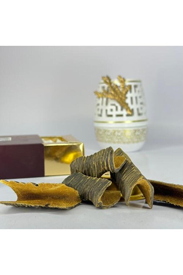 Enhanced Cambodian Oud