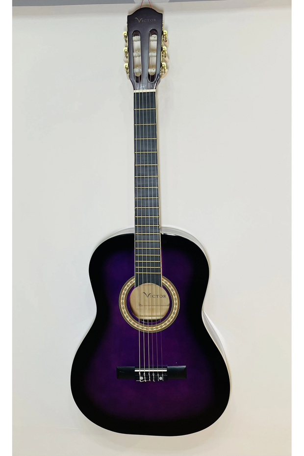 Klasik Gitar - 1