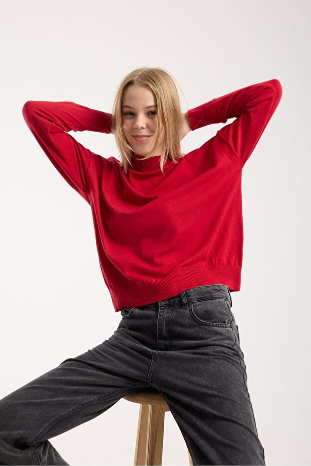 Women's Knitwear Sweater Soft Texture Mock Neck Basic