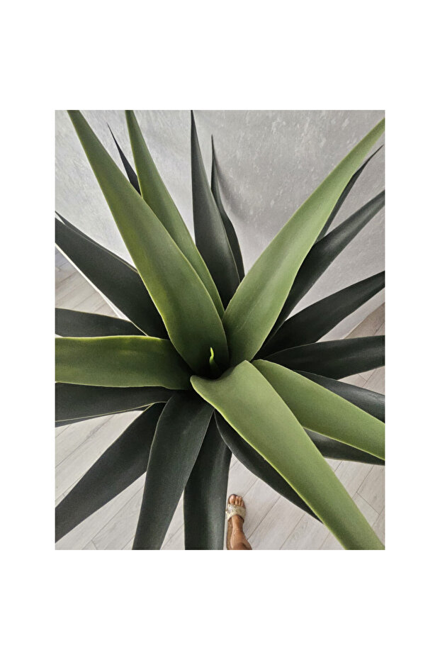 Tropical Tree 100cm - 2