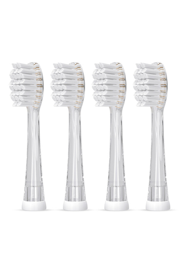 SG-H923B Seago Replacement Brush Heads for SG-2139, SG-513, and SG-977 Electric Toothbrush - Soft Br