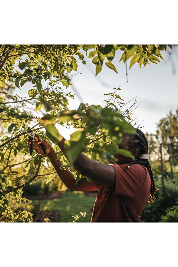 Step-by-step garden scissors Solid (P321) - 6