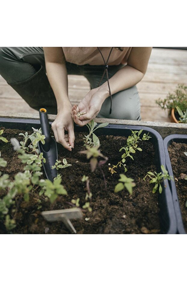 Plantator ingust, Solid - 4