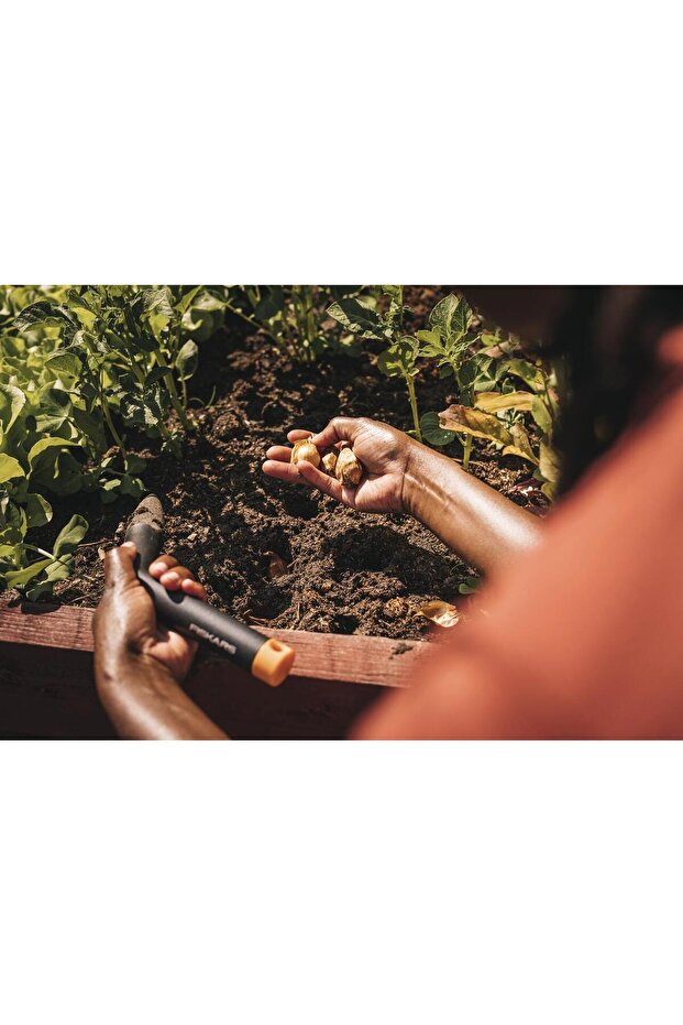 Plantator stick, Solid - 4