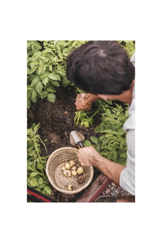 Γλάστρα Xact - 6