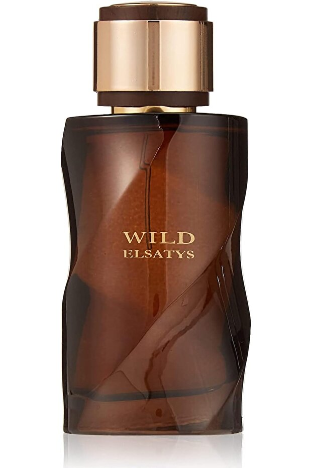 عطر وايلد إلساتيس للرجال 100 مل