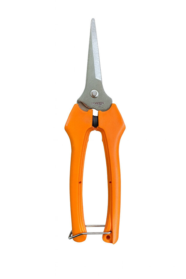 Taiwanese fruit pruning shears - 2