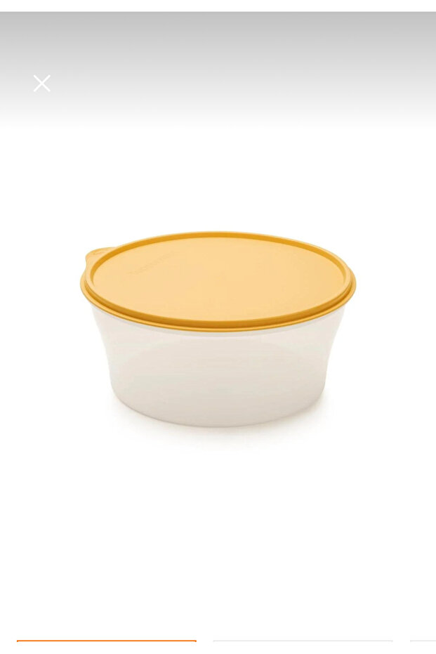 Classic Storage Container 1.9 Sun - 1