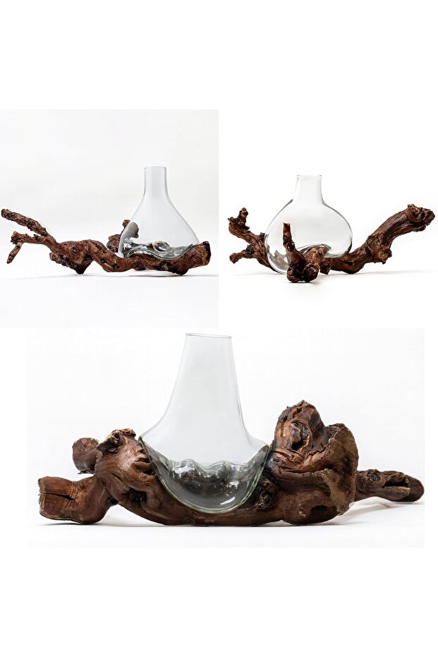 Luxury Glass and Natural Grape Wood Vase – Handcrafted Decorative Piece