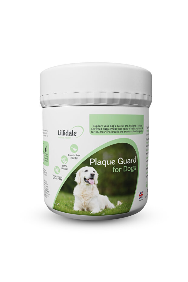 Plaque Guard 60g