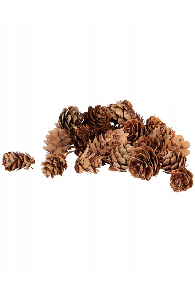 Accessory, Brown - 2