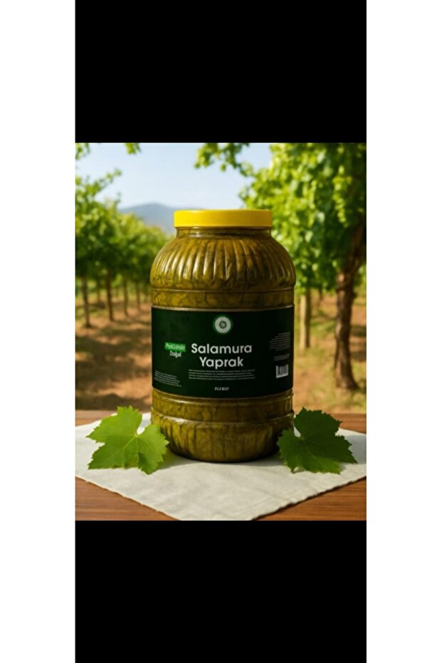 SALAMURA YAPRAK 5LT