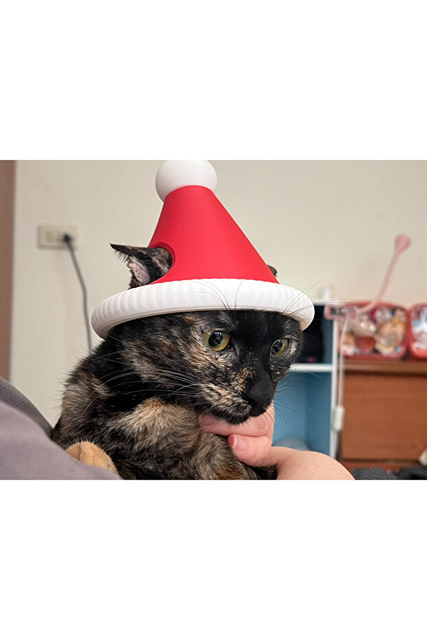 Christmas Cat Hat - 1