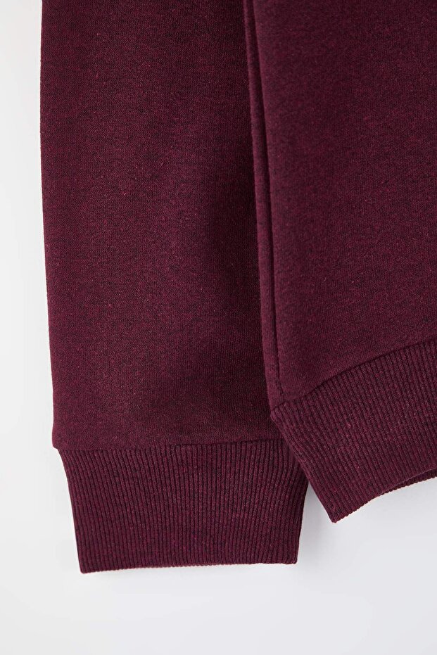 Siyah-Bordo-Lacivert 3'lü Paket Regular/Normal Kesim Basic İçi Polar Sweatshirt TMNAW26SW00006 - 4