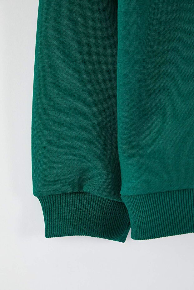 Zümrüt Yeşili Pamuklu Düz/Basic Dik Yaka Regular Örme Erkek Çocuk Sweatshirt TKDAW26SW00008 - 4
