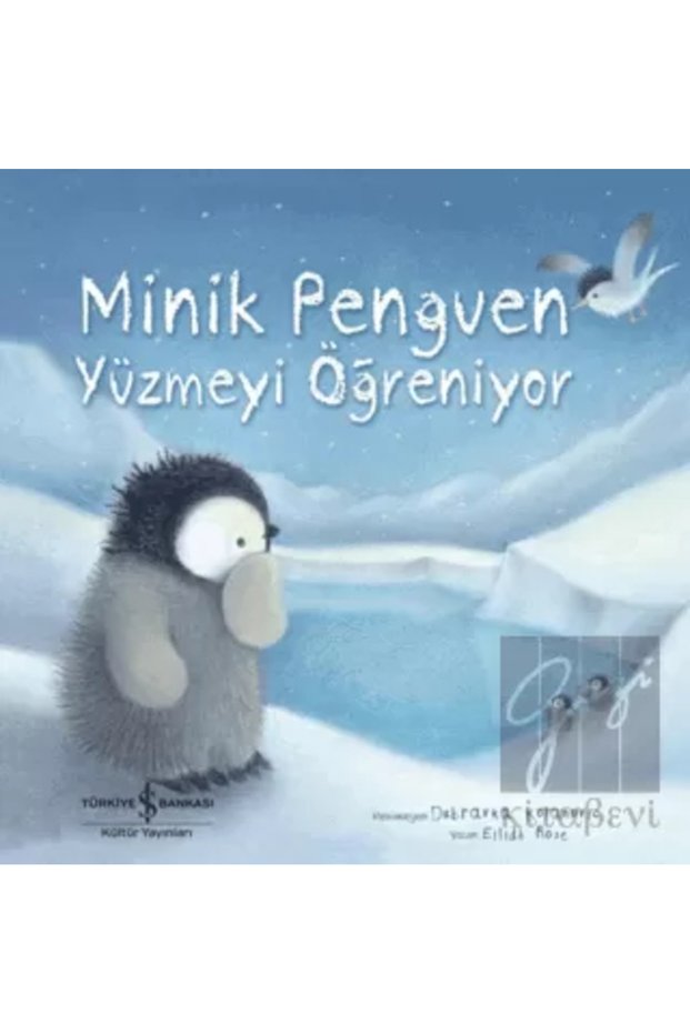 Minik Penguen Yüzmeyi Öğreniyor