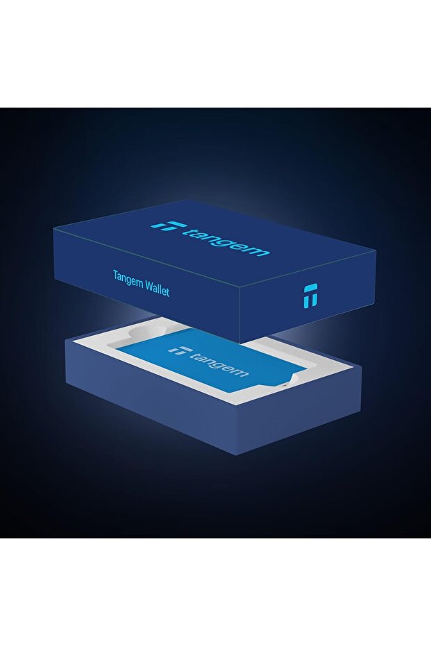 Hyper Blue Kripto Para Cüzdanı (Cold Wallet) 3'lü kart - 3