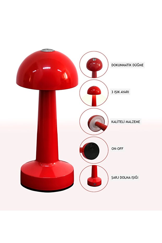 Mantar Masa Lambası - 1