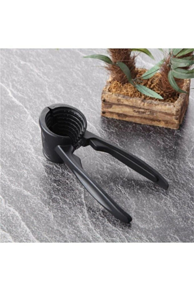 Solid Casting Walnut Cracker, Hazelnut and Walnut Cracker - 7