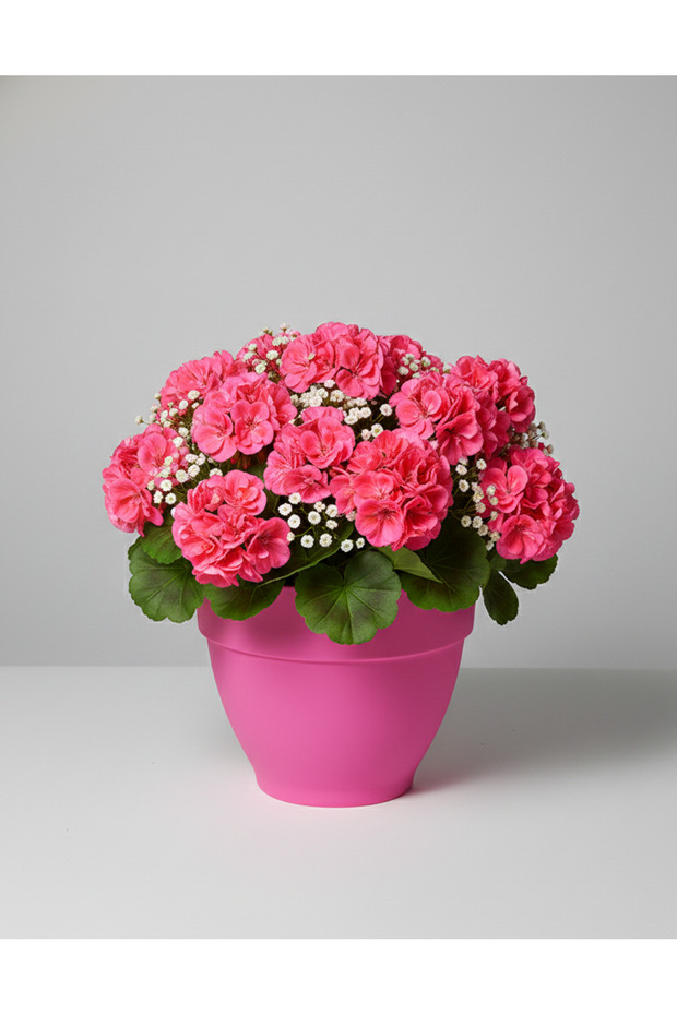 Renkli Saksı 25cm - 2