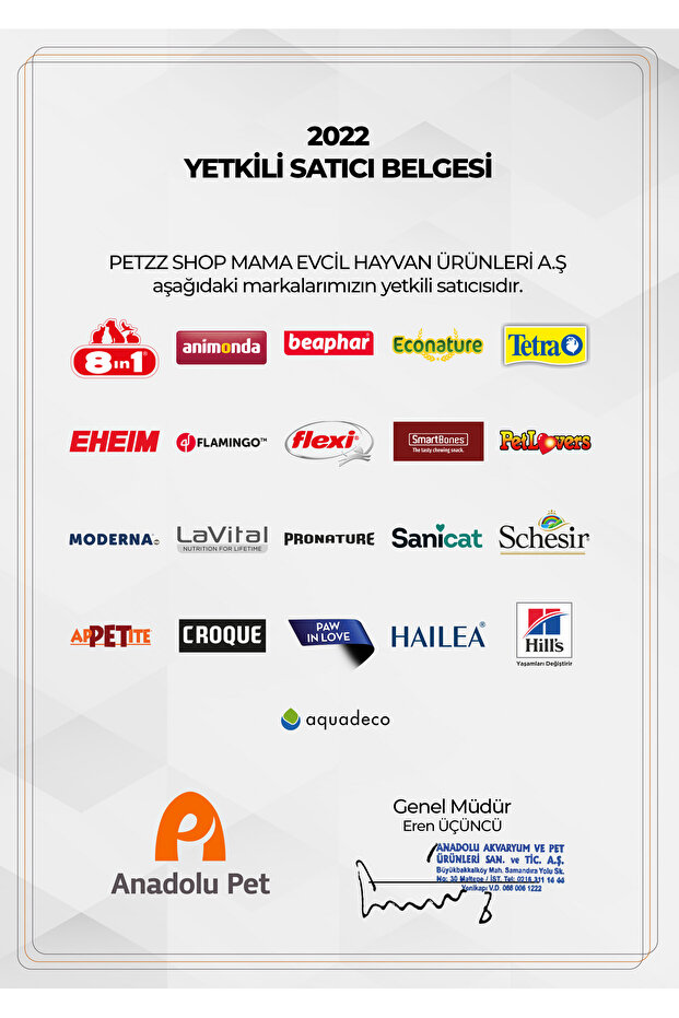 Dotz Triangle Triangular Dog Toy Tr-Large - 4