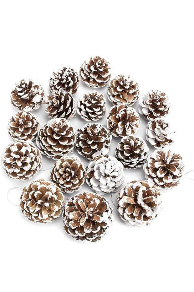 20PCS Large Pine Cones with Silver String for Home Decor Natural White Pine Cone for Crafts Christma