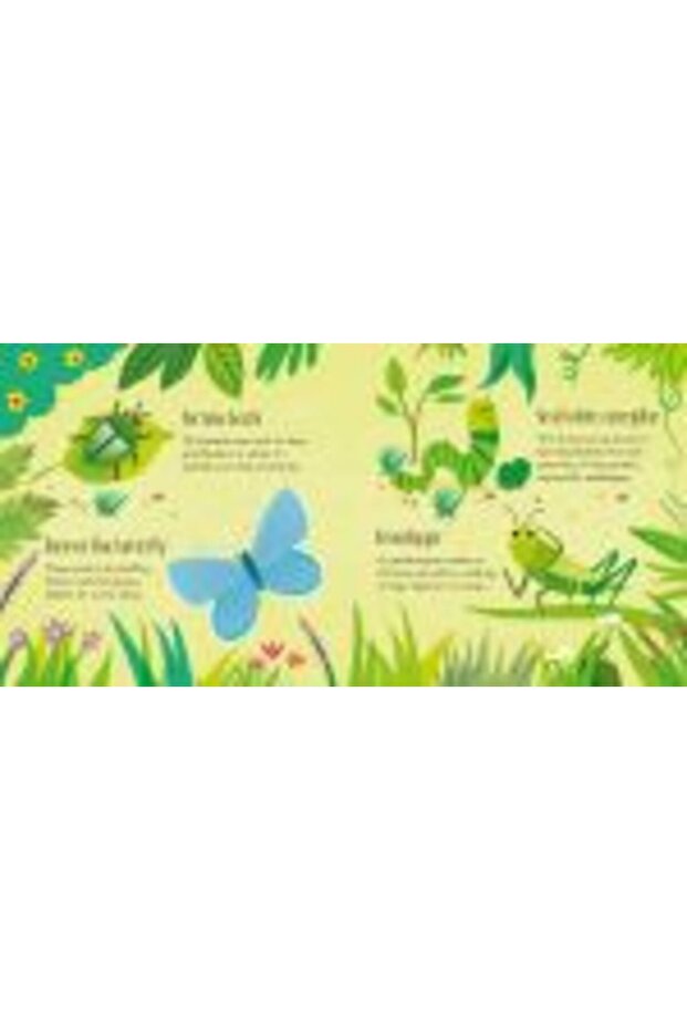 Bugs Matching Games - 8