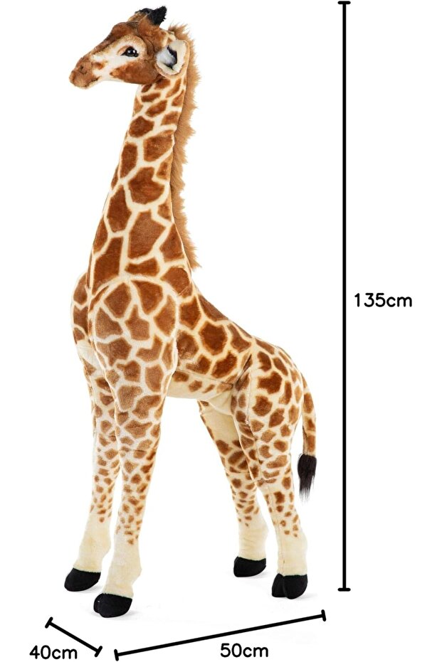 حامل زرافة، متعدد الألوان - 8