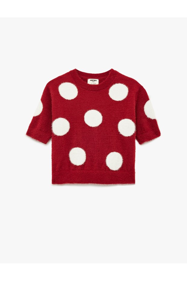 Crew Neck Short Sleeve Polka Dot Knit Sweater