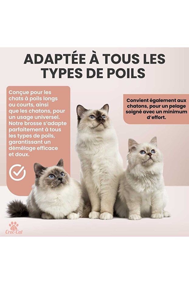 Cat brush - 5