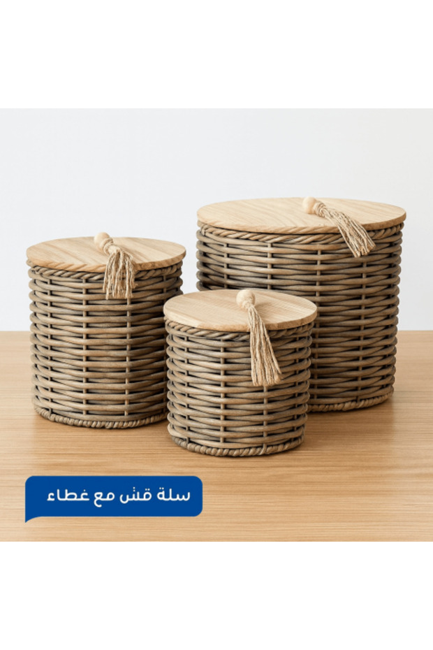 علب خوص بغطاء ROXY ROXY Synthetic Rattan Storage Boxes with Lid