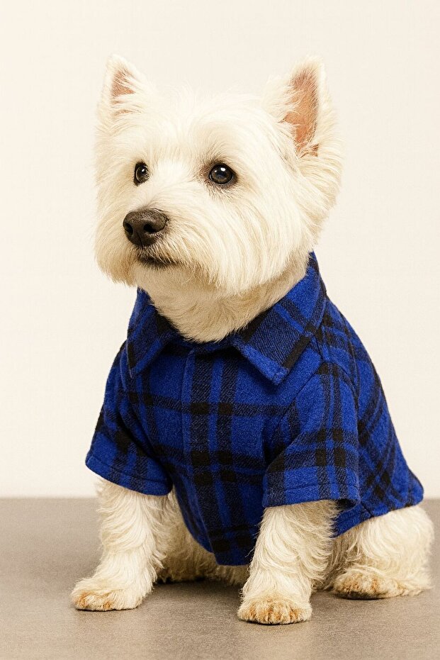 Small Breed Blue Lumberjack Shirt Dog Outfit (1-10kg)