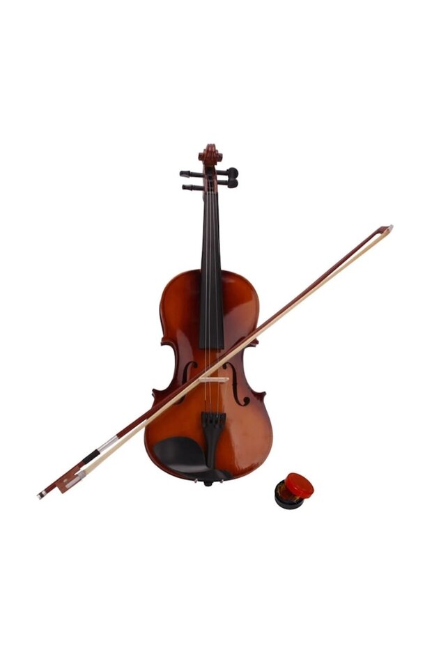 Violin 4/4, Zeaicos, Maple/Tilo, Brown - 2