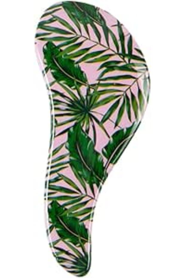 Tangle Free Tropical Palm