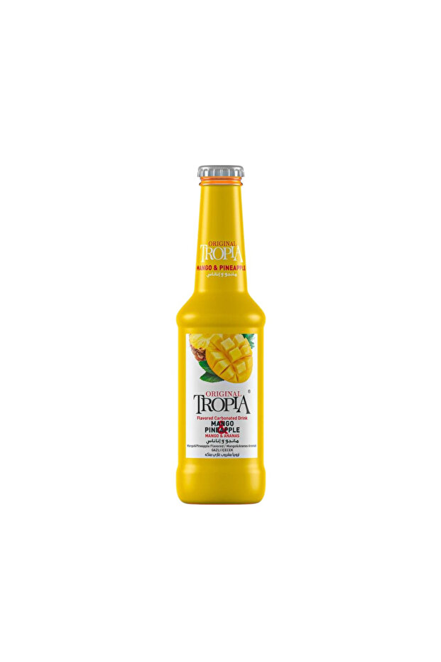 Mango & Ananas 250 ml (24 adet) - 1