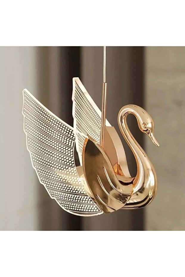 انارة البجعة الطائرة - 2