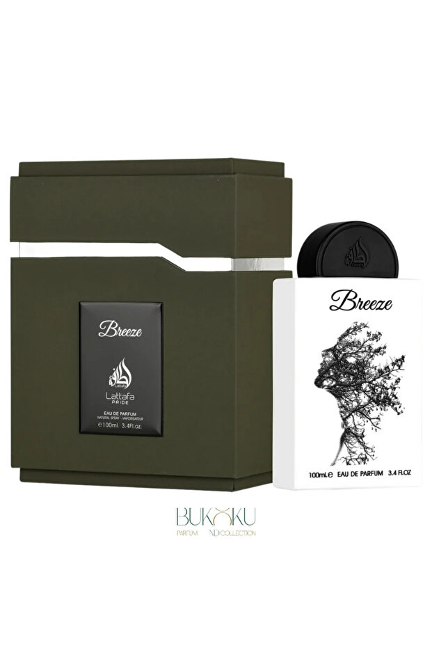 BREEZE - 2