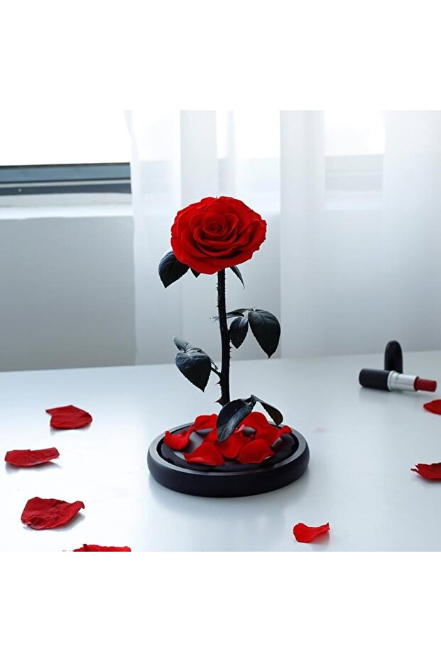 Voie Handmade Preserved Red Rose, 100% Real, 3 Years Lifetime