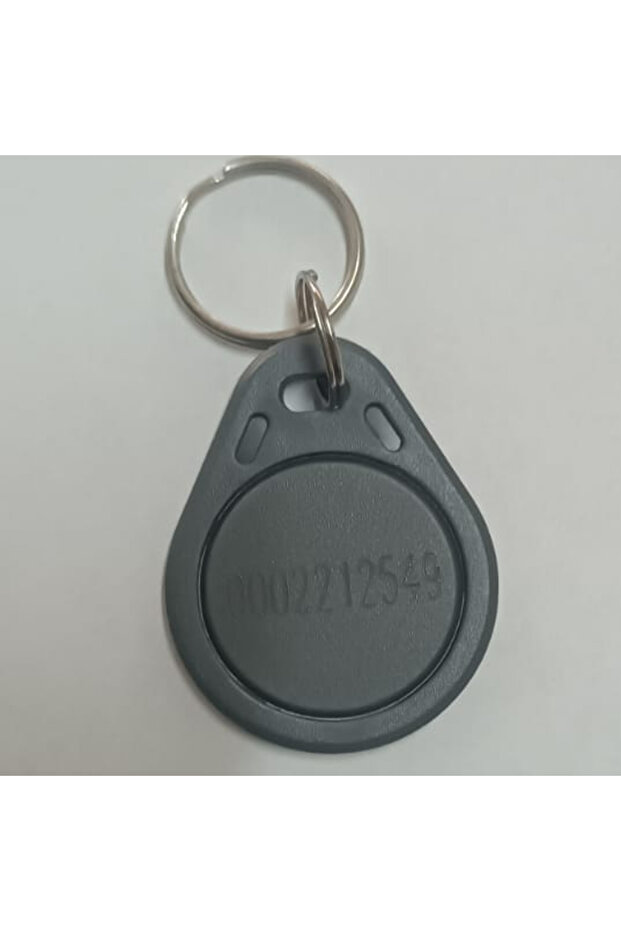 10 Pieces E1 Keychain Gray Indicator - 2