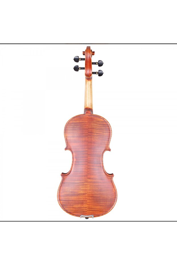 Vla6 4/4 Keman - 2