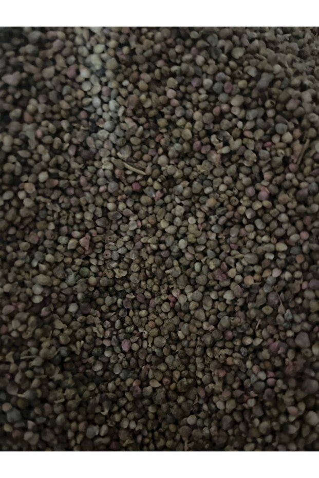 Ispanak tohumu 100gr
